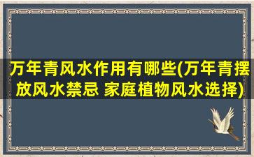 万年青风水作用有哪些(万年青摆放风水禁忌 家庭植物风水选择)